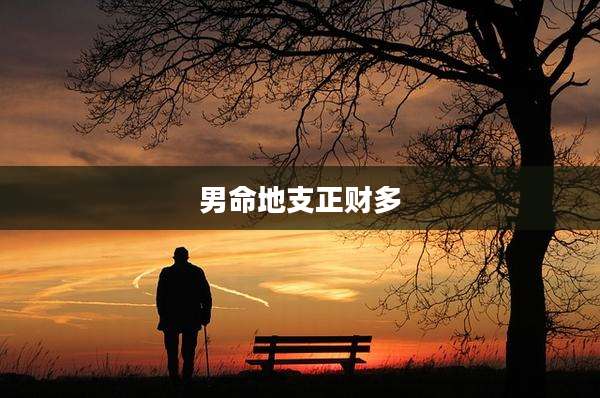 男命地支正财多