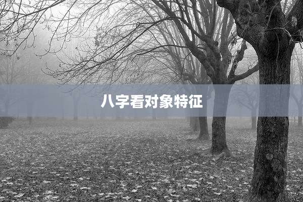 八字看对象特征