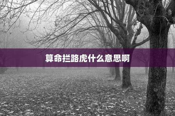 算命拦路虎什么意思啊