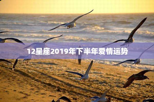 12星座2019年下半年爱情运势