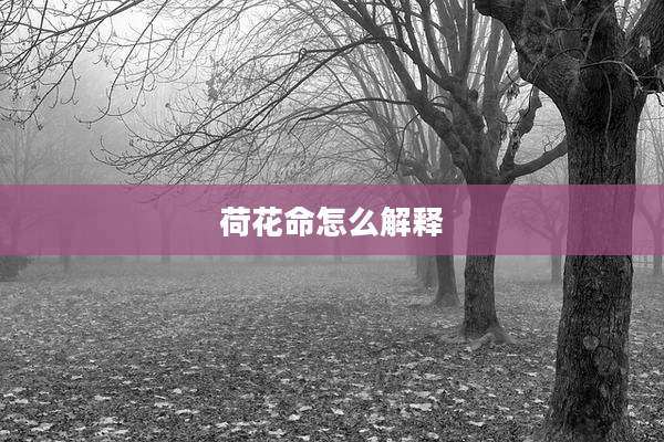 荷花命怎么解释