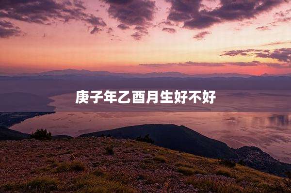 庚子年乙酉月生好不好