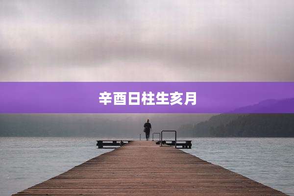 辛酉日柱生亥月