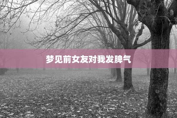 梦见前女友对我发脾气