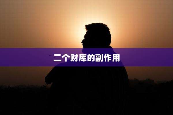 二个财库的副作用