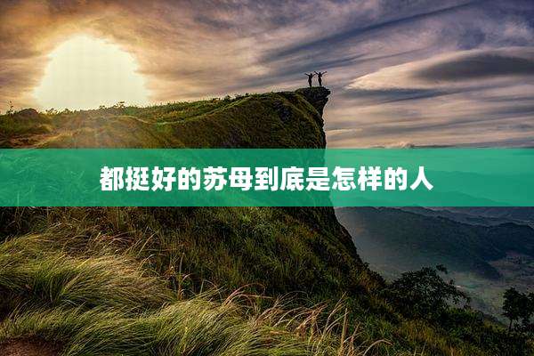 都挺好的苏母到底是怎样的人