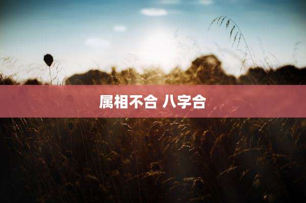 属相不合 八字合