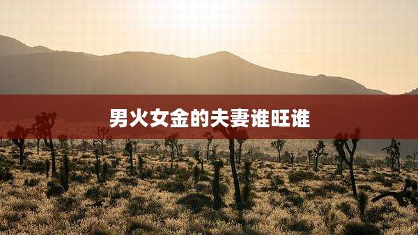 男火女金的夫妻谁旺谁