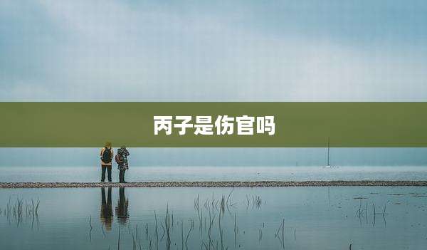 丙子是伤官吗