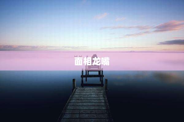 面相龙嘴