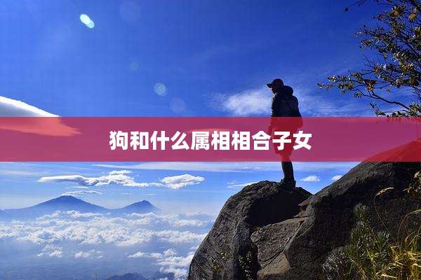 狗和什么属相相合子女