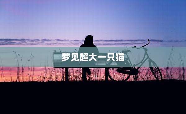 梦见超大一只猫
