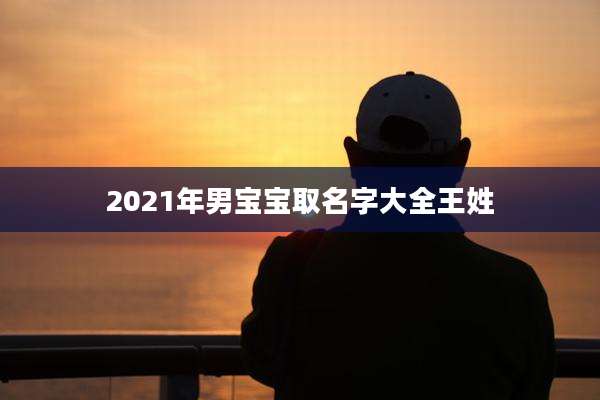 2021年男宝宝取名字大全王姓