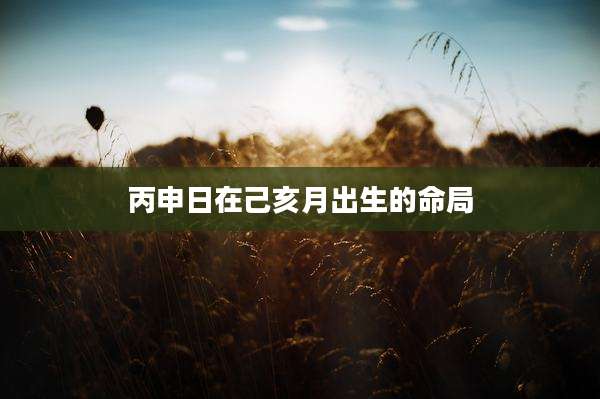 丙申日在己亥月出生的命局