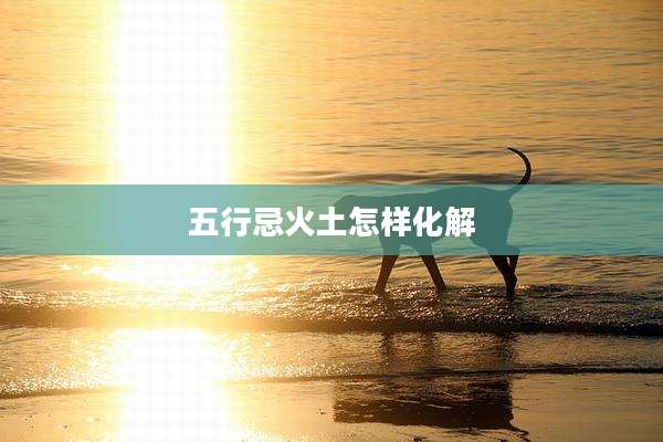 五行忌火土怎样化解