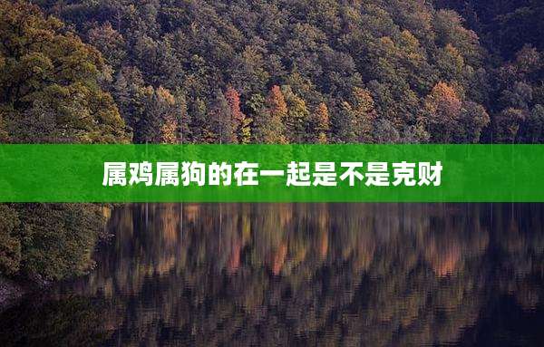 属鸡属狗的在一起是不是克财