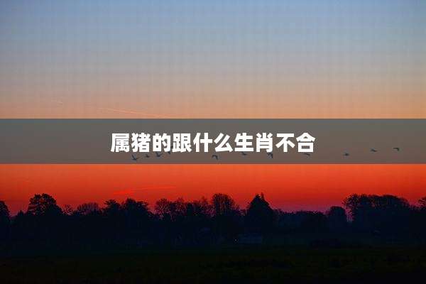 属猪的跟什么生肖不合