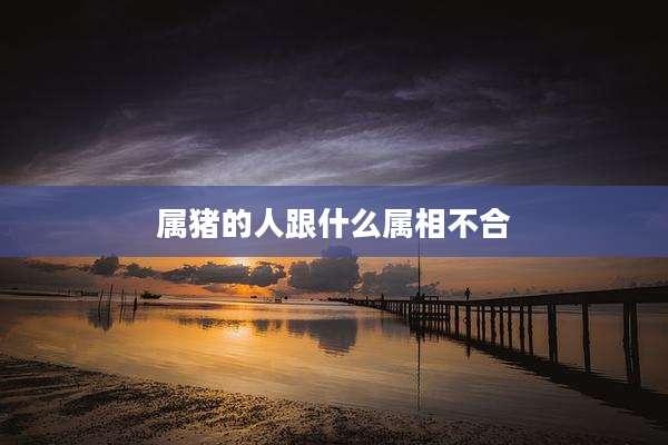 属猪的人跟什么属相不合