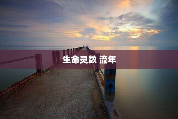 生命灵数 流年