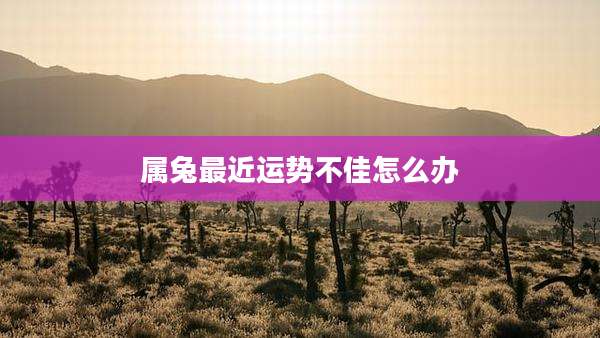 属兔最近运势不佳怎么办