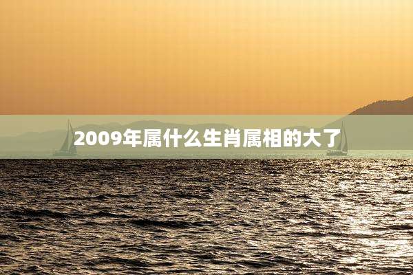 2009年属什么生肖属相的大了