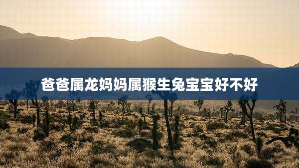 爸爸属龙妈妈属猴生兔宝宝好不好