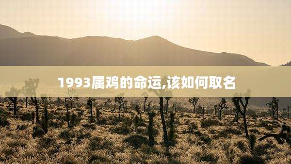 1993属鸡的命运,该如何取名