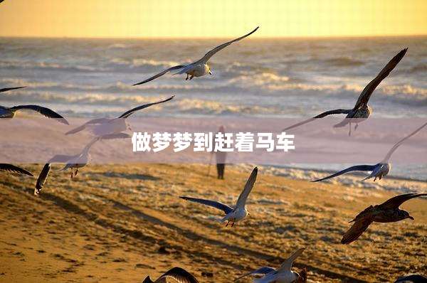 做梦梦到赶着马车