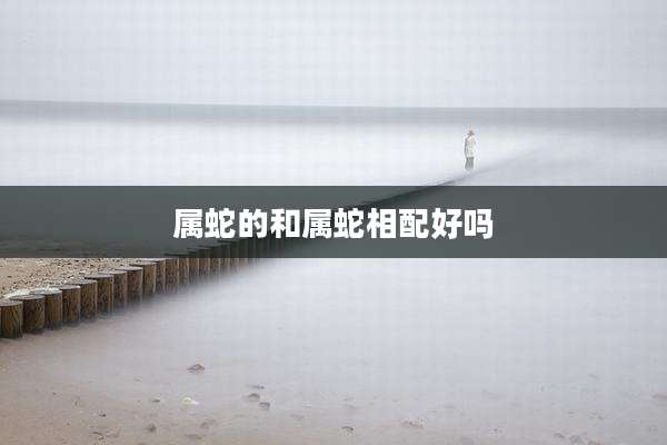 属蛇的和属蛇相配好吗