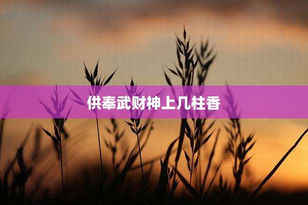 供奉武财神上几柱香