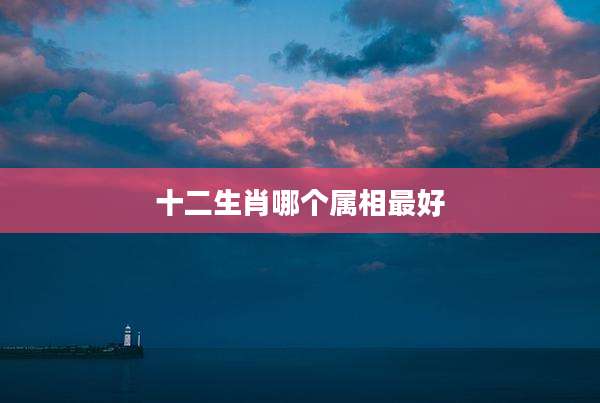 十二生肖哪个属相最好