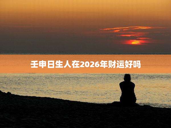 壬申日生人在2026年财运好吗