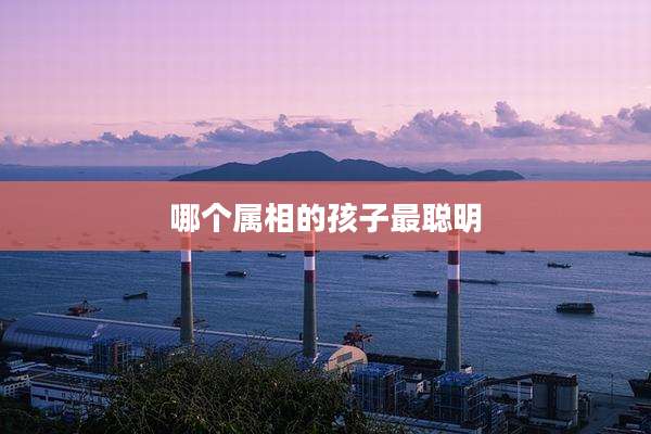 哪个属相的孩子最聪明