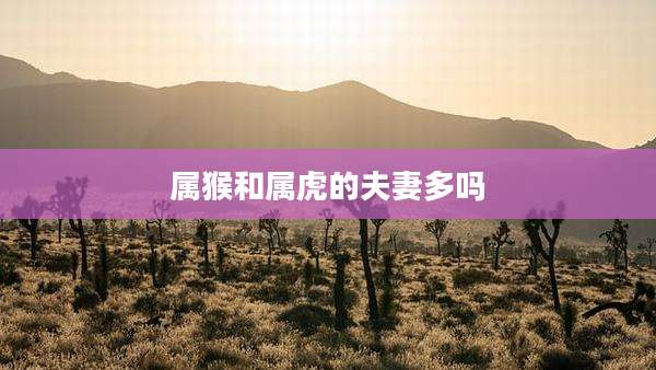 属猴和属虎的夫妻多吗