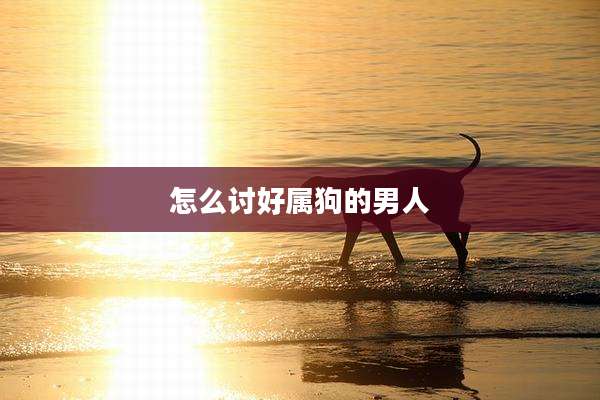 怎么讨好属狗的男人