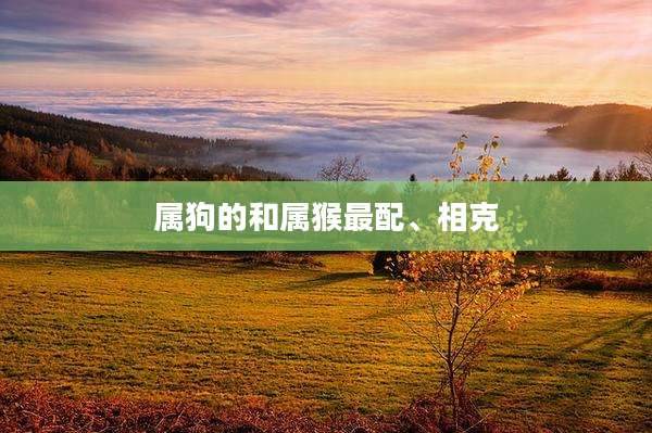 属狗的和属猴最配、相克