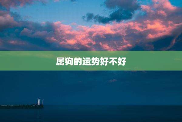 属狗的运势好不好