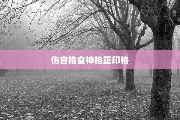 伤官格食神格正印格