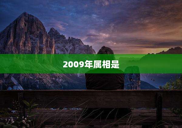 2009年属相是