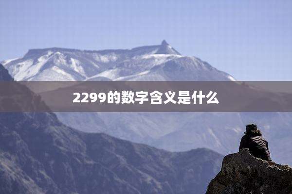 2299的数字含义是什么