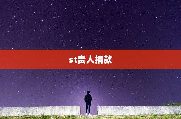 st贵人捐款