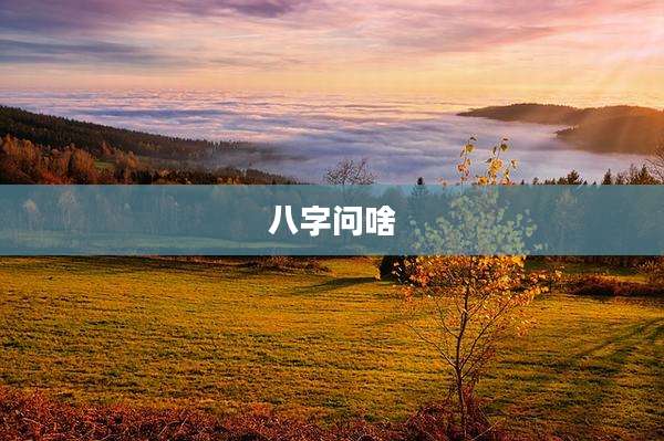 八字问啥