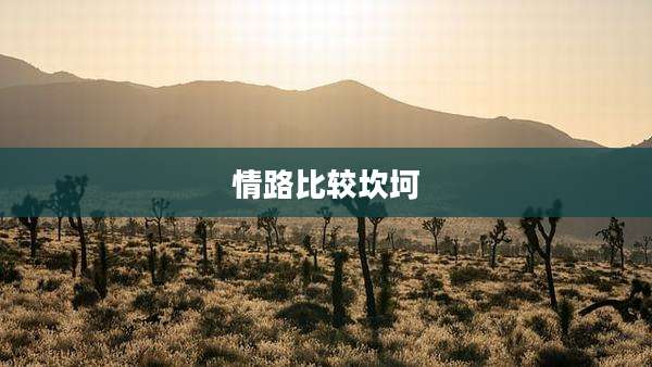 情路比较坎坷