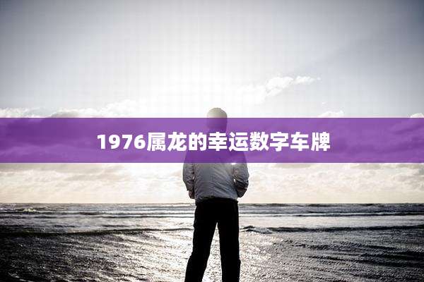 1976属龙的幸运数字车牌