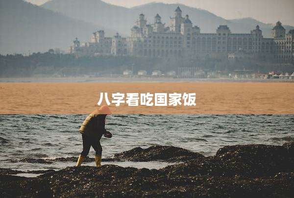 八字看吃国家饭