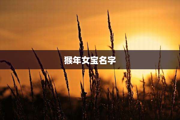 猴年女宝名字