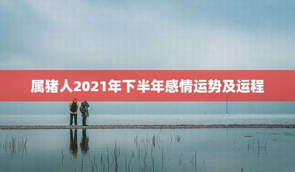 属猪人2021年下半年感情运势及运程