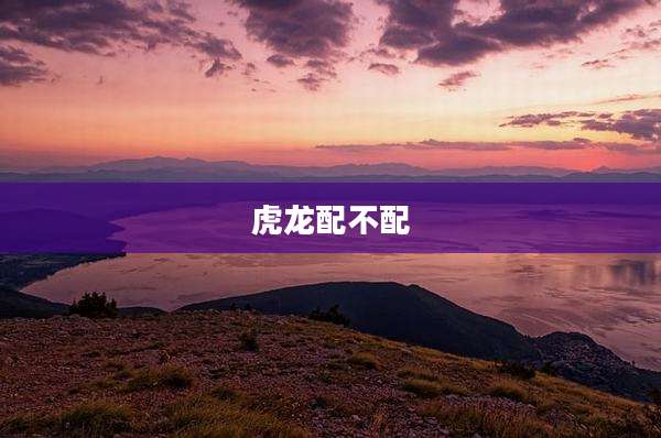 虎龙配不配