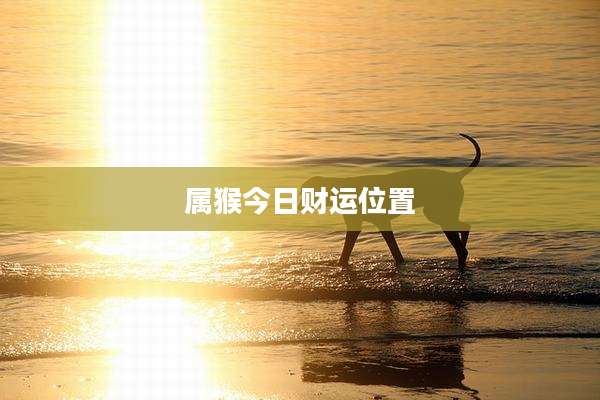 属猴今日财运位置