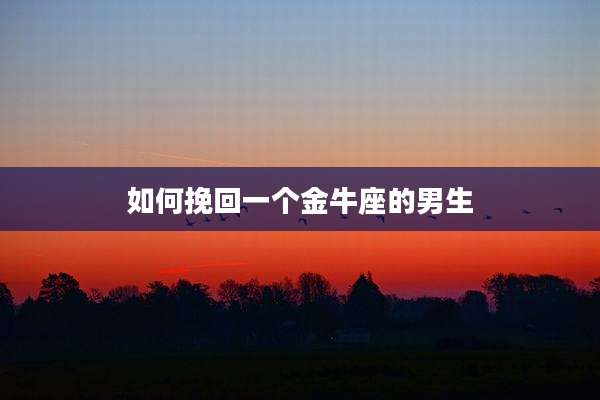 如何挽回一个金牛座的男生